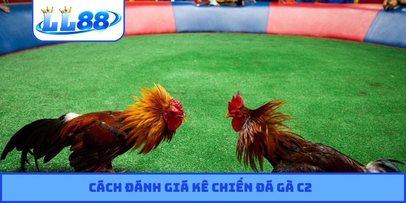 Cách đánh giá kê chiến đá gà C2