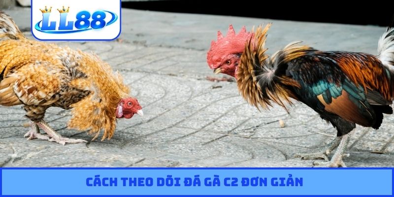 Cách theo dõi đá gà C2 đơn giản
