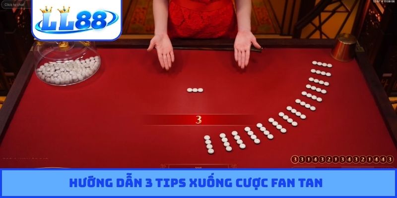 Hướng dẫn 3 tips xuống cược Fan tan